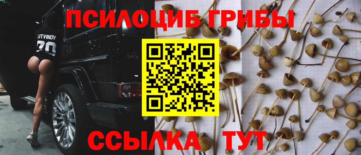 Псилоцибиновые грибы GOLDEN TEACHER  Псилоцибиновые грибы мицелий  Вход с VPN  Обь 